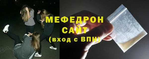 СК Алексин