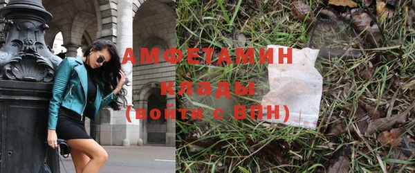 амф Алексеевка