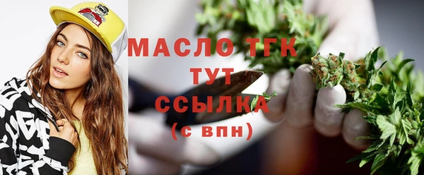 СК Алексин