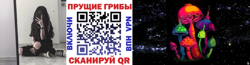 Псилоцибиновые грибы Psilocybine cubensis  продажа наркотиков  Александровск-Сахалинский 